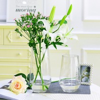 【新加勤】高白料电炉玻璃花瓶富贵竹水培装饰花器客厅装饰品摆件